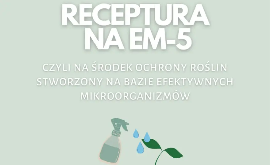 Jak samemu zrobić efektywne mikroorganizmy i poprawić plony w ogrodzie