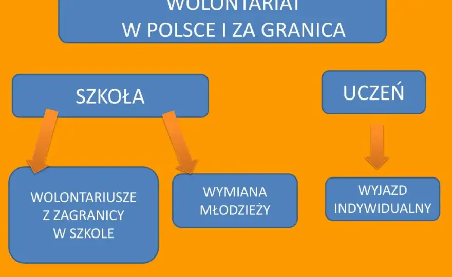 Jakie formy wolontariatu warto znać? Odkryj różnorodność możliwości