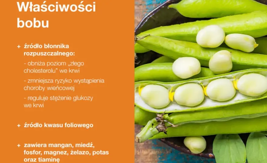 Czy bób jest zdrowy? Poznaj prawdę o wartościach odżywczych i korzyściach