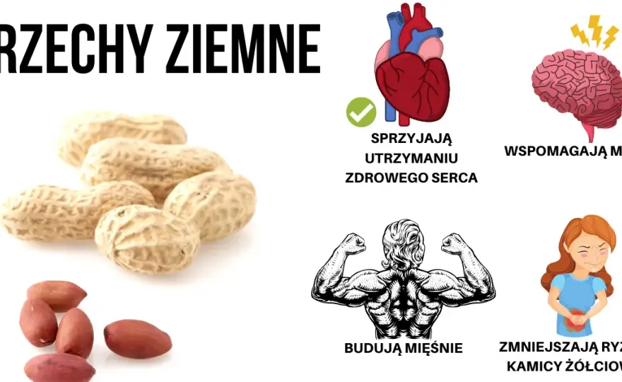 Czy orzeszki ziemne są zdrowe? 5 faktów o wpływie fistaszków na organizm