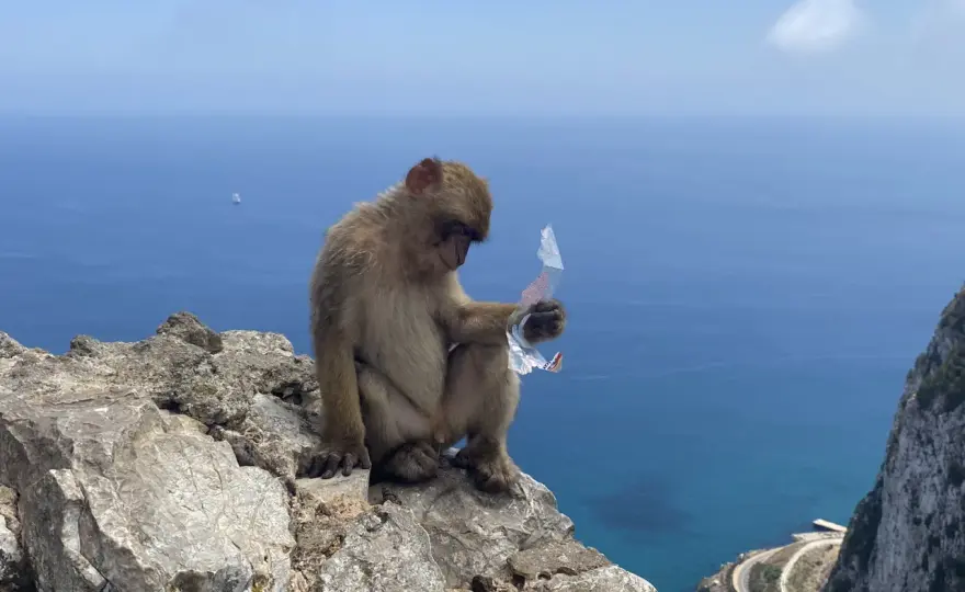 Najlepsze atrakcje w Gibraltarze, które musisz zobaczyć podczas wizyty