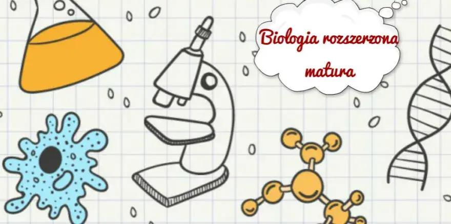 Czy rozszerzona biologia jest trudna? Sprawdź, jak sobie z nią poradzić na maturze