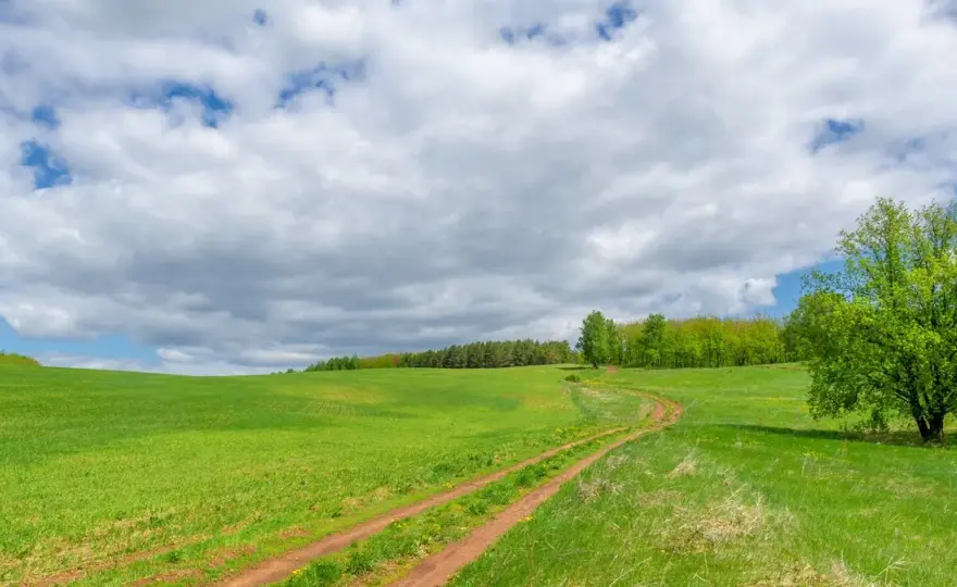 Ile kosztuje ar działki budowlanej na wsi?