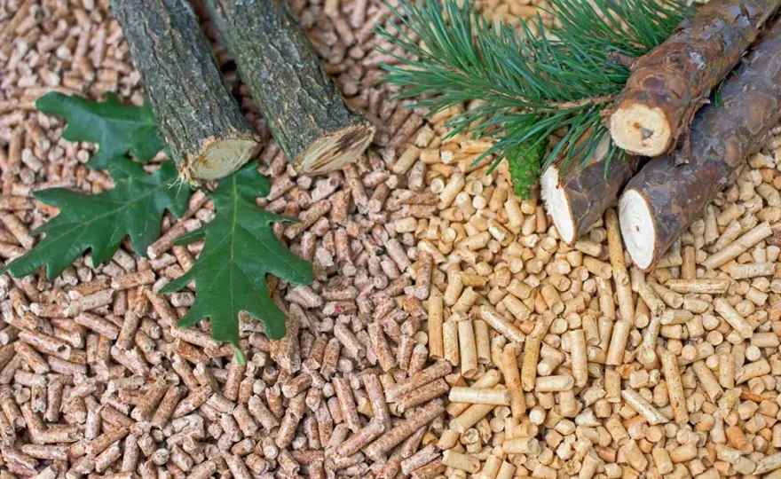 Pellet iglasty czy liściasty – który wybór zapewni lepsze ciepło?