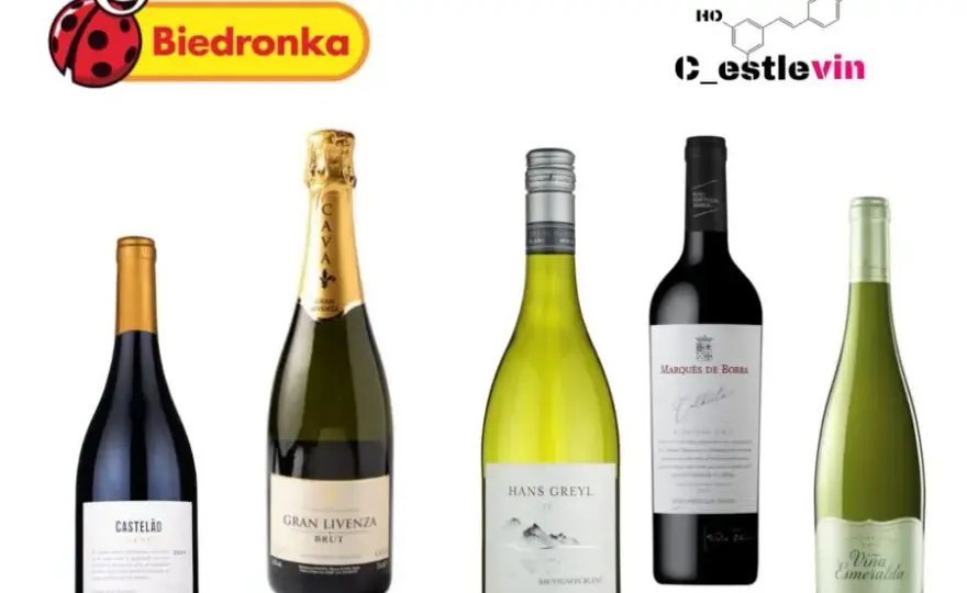 Dobre wina ranking: znajdź najlepsze wina na każdą okazję i budżet
