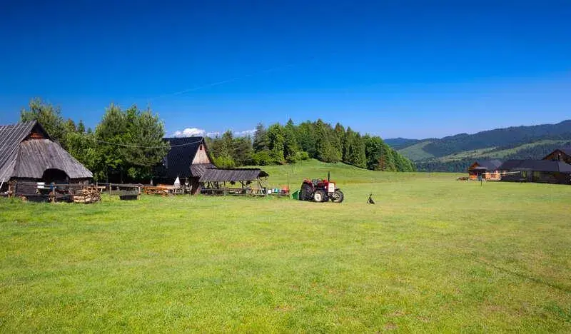 Bacówka u Wojtka - tradycyjne sery i wyjątkowe doświadczenia w górach