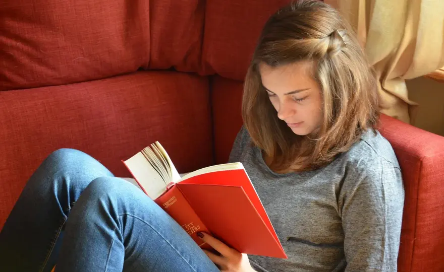 $YA$ na Serio: Dlaczego literatura Young Adult to już nie tylko rozrywka, ale ważny głos w dyskusji o problemach młodych?