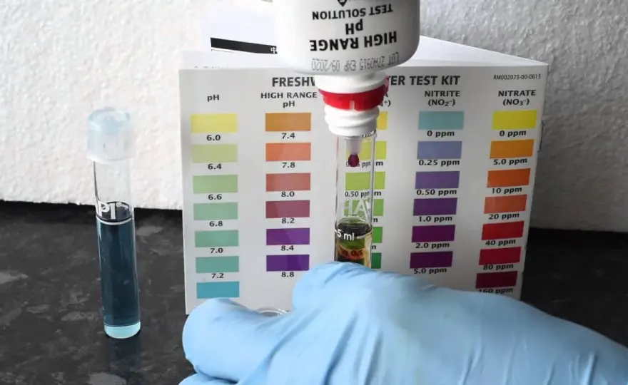 Domowe sposoby na pomiar pH w akwarium - prosty test wody