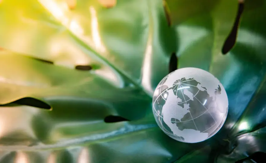 Najnowsze trendy w szkoleniach z ochrony środowiska: jak być na bieżąco z przepisami esg