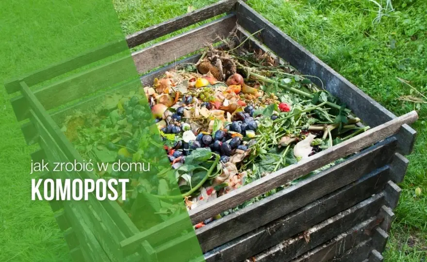 Jak zrobić kompost w domu: 8 kroków do własnego nawozu