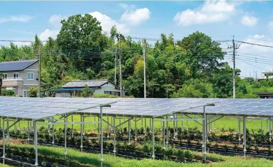Jakie korzyści oferuje agrofotowoltaika dla rolnictwa i energetyki