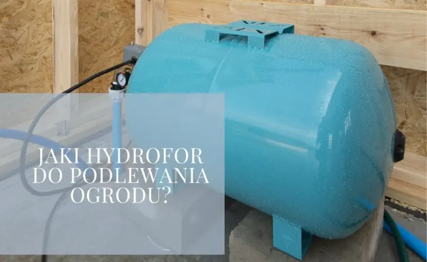 Jak wybrać idealny hydrofor do podlewania ogrodu? Porady i porównania