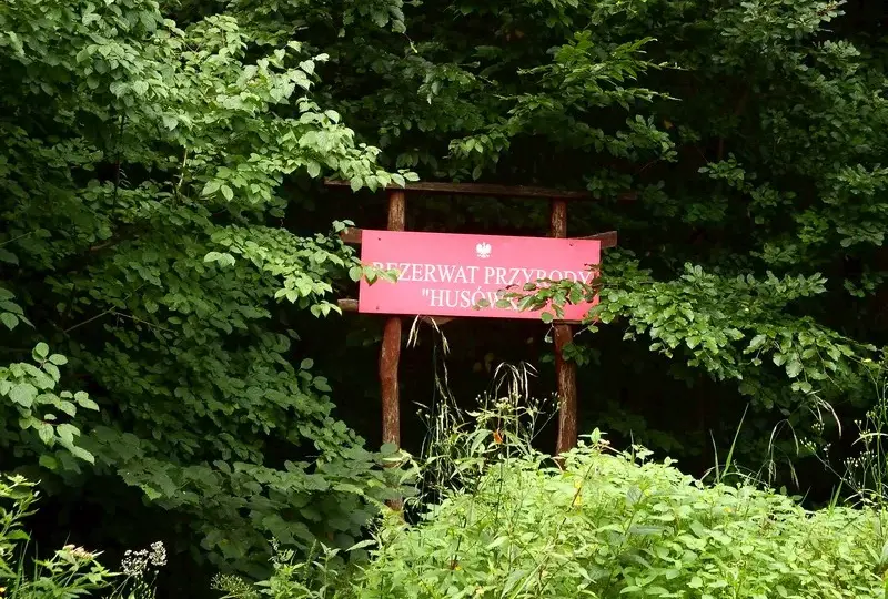 Rezerwat Przyrody Husówka – co warto wiedzieć przed wizytą i jak uniknąć błędów