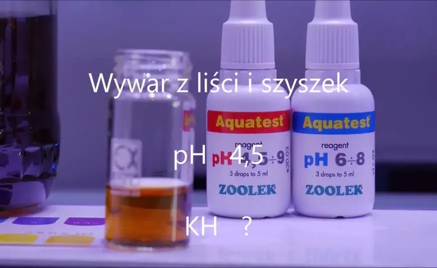 Jak obniżyć KH w akwarium i poprawić zdrowie ryb bez stresu