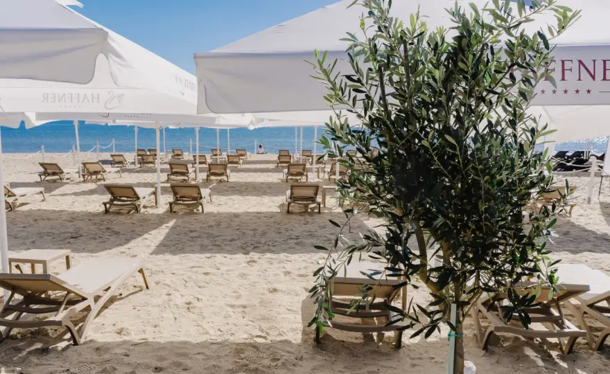 Sopot z dzieckiem - Atrakcje na każdą pogodę i gotowy plan dnia