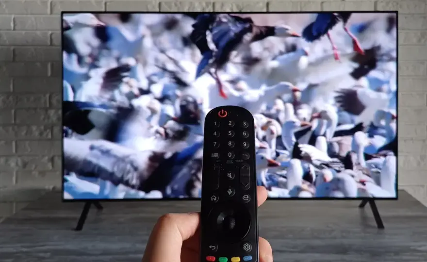 Kanały TV w Polsce - Jak wybrać odbiór i nie żałować?