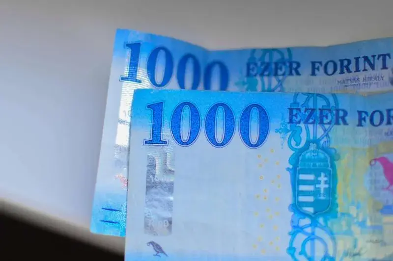 Jaka waluta obowiązuje na Węgrzech? Wszystko o forincie węgierskim i wymianie