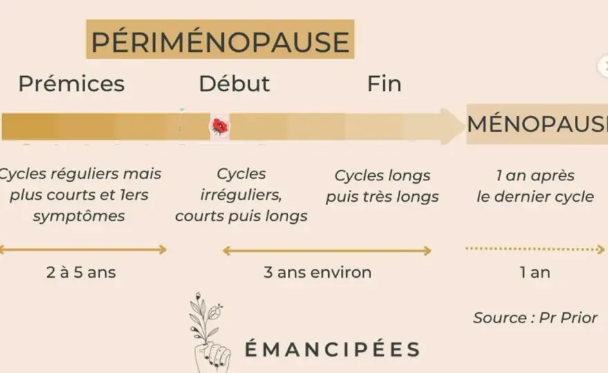 Carence en œstrogènes - quels signes à la ménopause ?