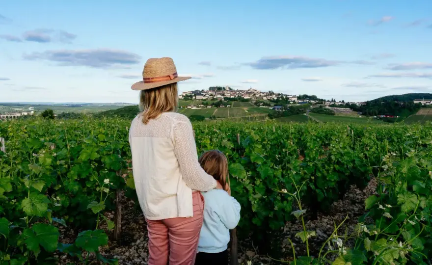 Sancerre - Le guide ultime pour choisir son vin et sa visite