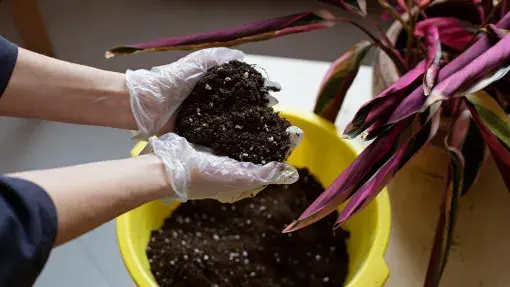 Zapomnij o workach! Stwórz idealną ziemię ogrodową DIY krok po kroku
