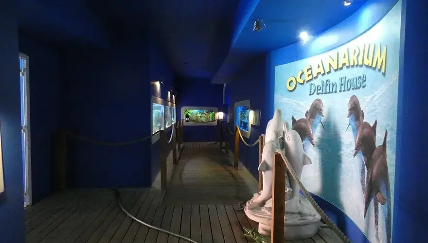 Oceanarium Łeba – fascynujący świat morskich stworzeń i edukacji