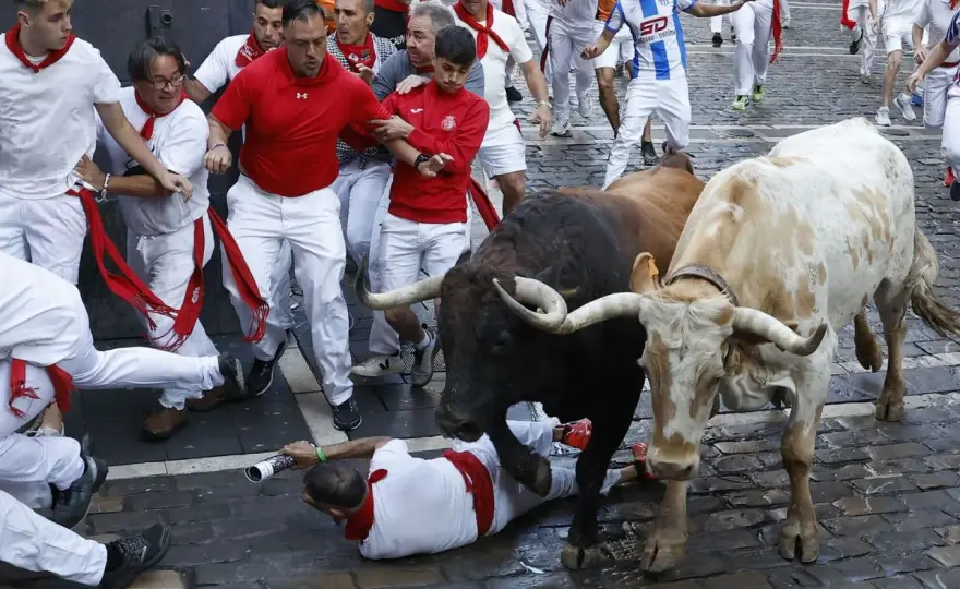 Garzón Valdenebro - ¿Por qué este toro interesa al aficionado?