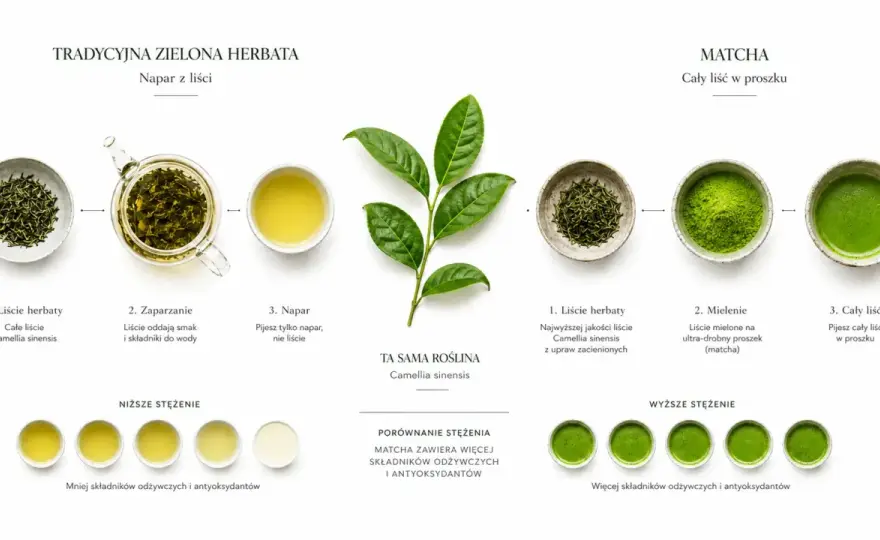Matcha - czy jest zdrowa? Prawda o kofeinie i koncentracji