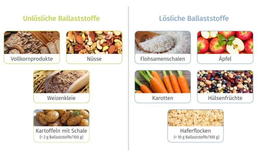 Ballaststoffe - So nutzt du sie optimal für Darm & Gesundheit