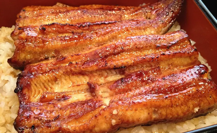 Eel Recipes - Master Unadon & Kabayaki at Home