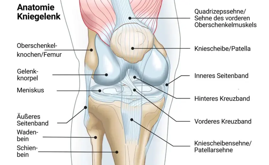 Steifes Knie - Ursachen, Selbsthilfe & wann zum Arzt?