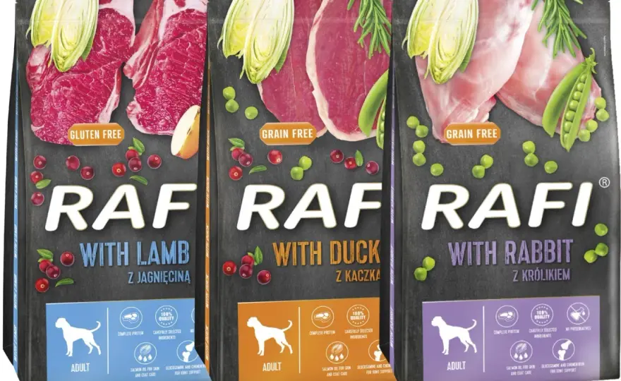 Rafi dla psa: Gdzie kupić najtaniej? Sklepy, online, porady