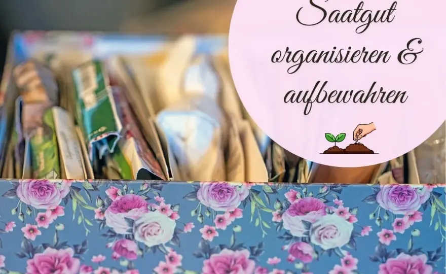 Saatgut lagern - so bleiben Samen länger keimfähig