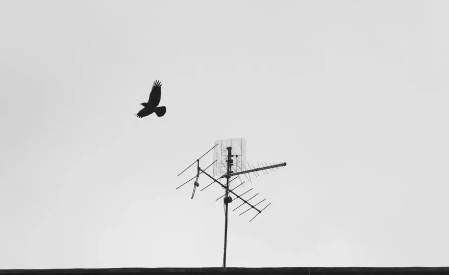 Antena do telewizora - Czy na pewno jej potrzebujesz?