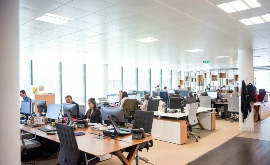Open Office Layouts - Boost Focus & Collaboration