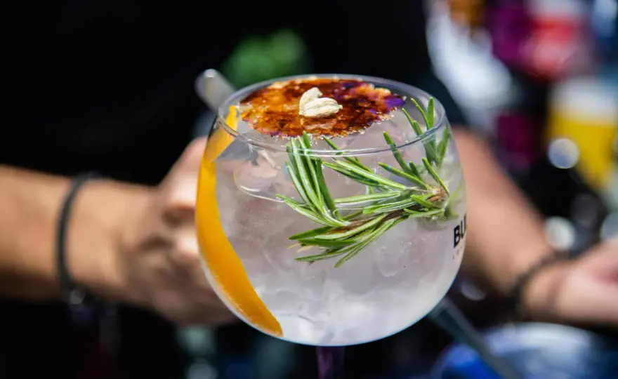 Die besten Gin-Cocktails - Rezepte & Tipps für zu Hause