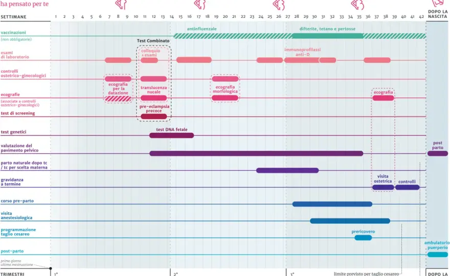 Calendario Gravidanza - Settimana per Settimana: La Tua Guida Completa