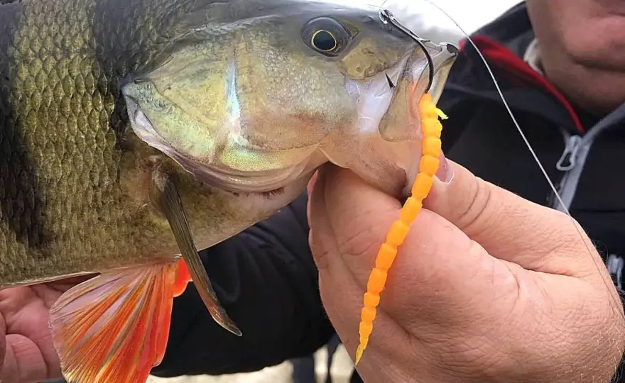 Wiązanie drop shot - Zrób to dobrze! Poradnik krok po kroku