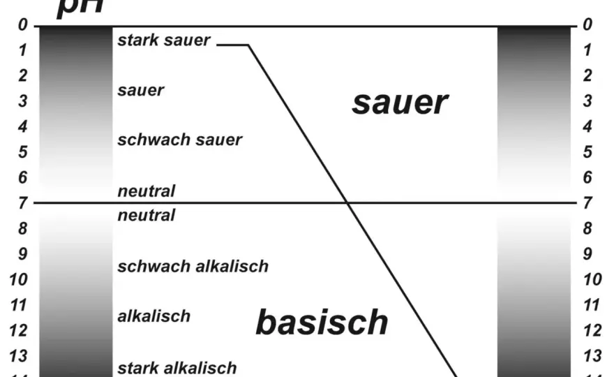 Ist Sauerkrautsaft basisch? - Warum der pH-Wert oft täuscht