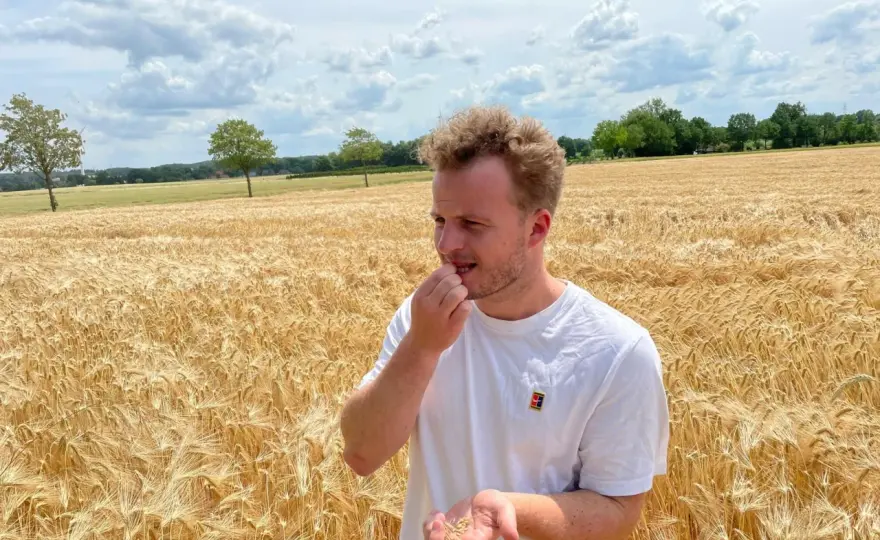 Getreide erkennen - Der schnelle Feld-Check für Landwirte
