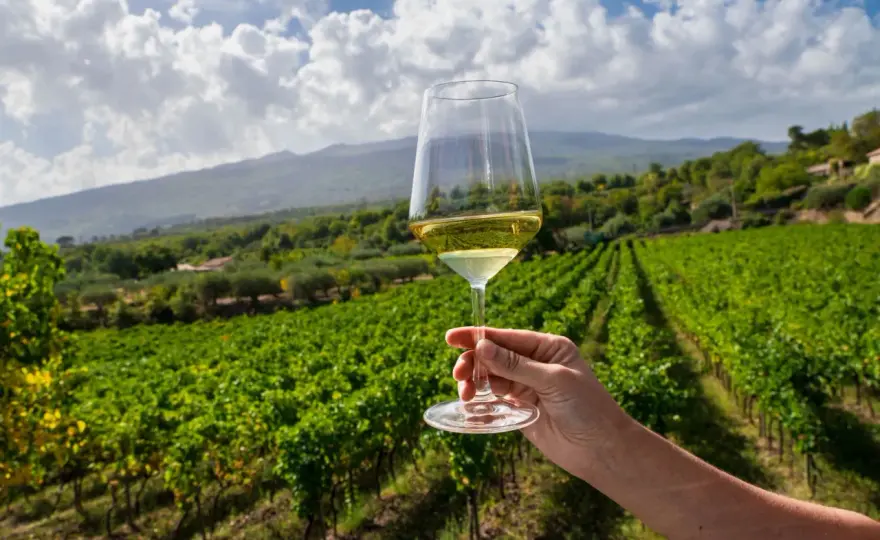Degustazione Etna - Guida all'esperienza perfetta
