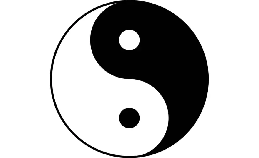 Armonia degli Opposti - Equilibrio Dinamico per il Benessere