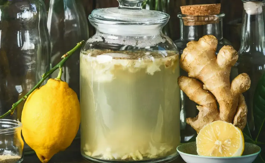 Ginger bug recept som ger bubblig hemmagjord läsk utan krångel