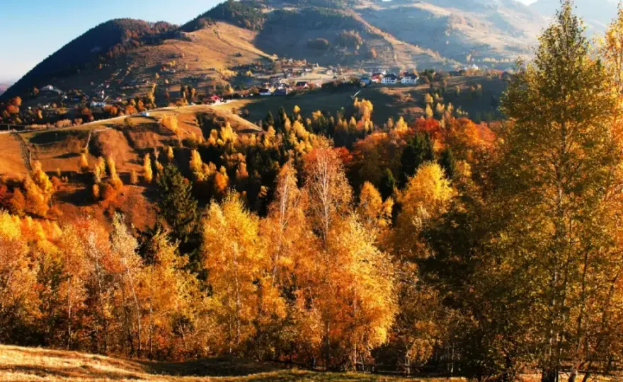 Bieszczady w listopadzie - Jak zaplanować udany wyjazd?