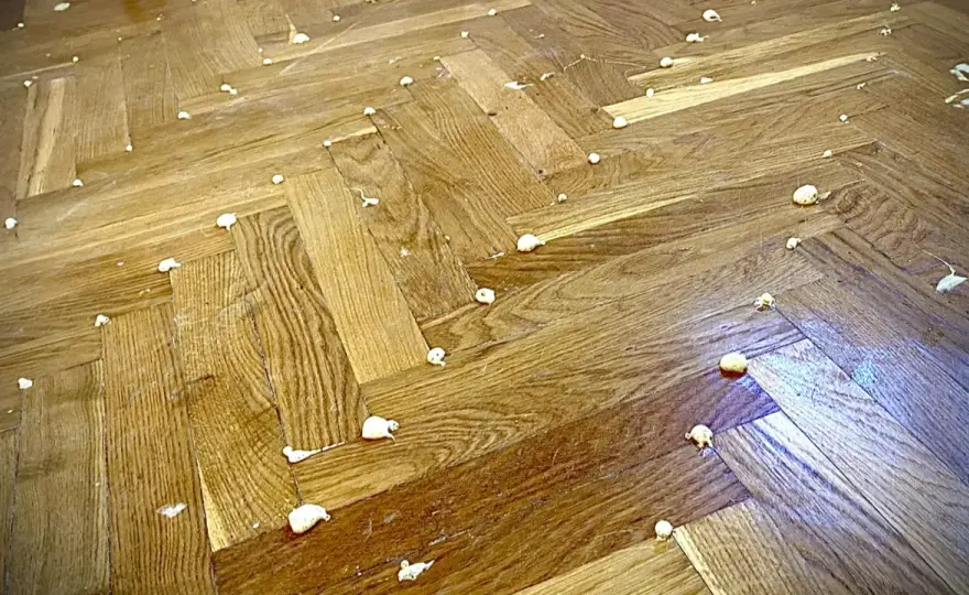 Subit pod parkietem - Rozpoznaj, usuń, wyceń. Poradnik!