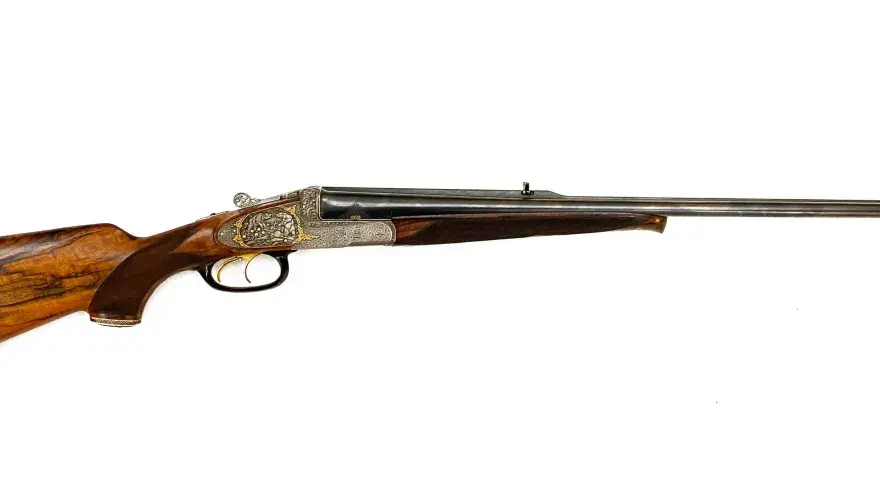Carabine de chasse la plus puissante - Le vrai choix du chasseur