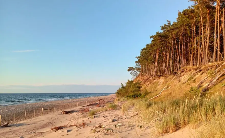 Plaża Wisełka - Spokój, las i morze. Czy to dla Ciebie?