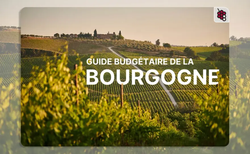 Bourgogne rouge - Le guide pour bien choisir votre vin