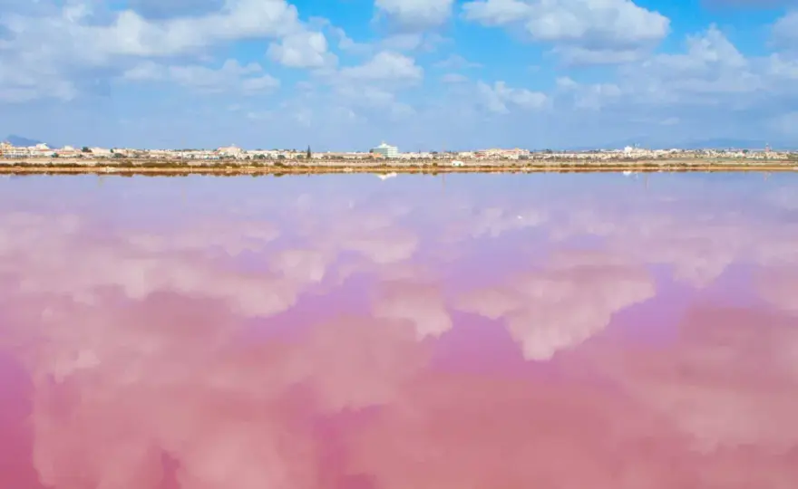 Playa rosa Murcia - ¿mito o realidad? Descubre las salinas