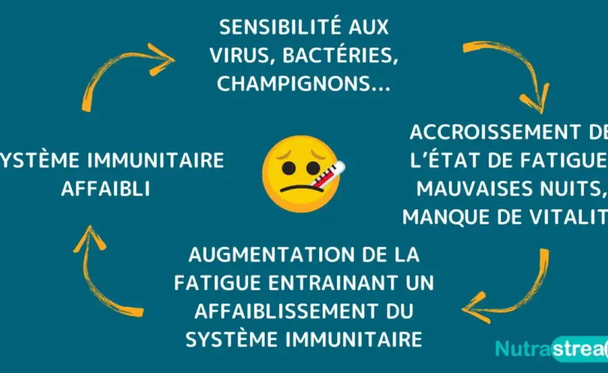 Comment savoir si ses défenses immunitaires sont fragiles ?