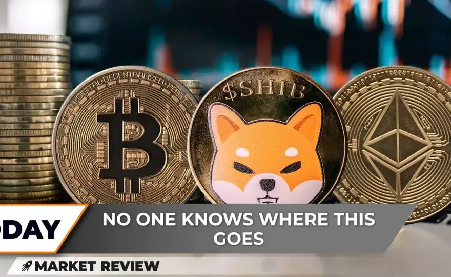 Kryptowaluta Shiba Coin: Analiza kryptowaluty Shiba Coin